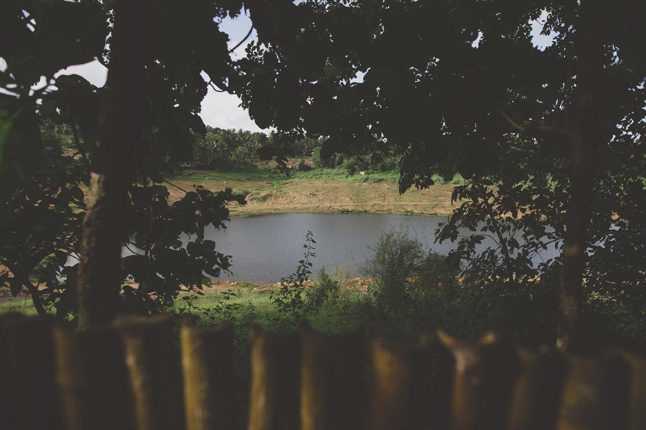 Riverine Springs Wadakkanchery Esterno foto