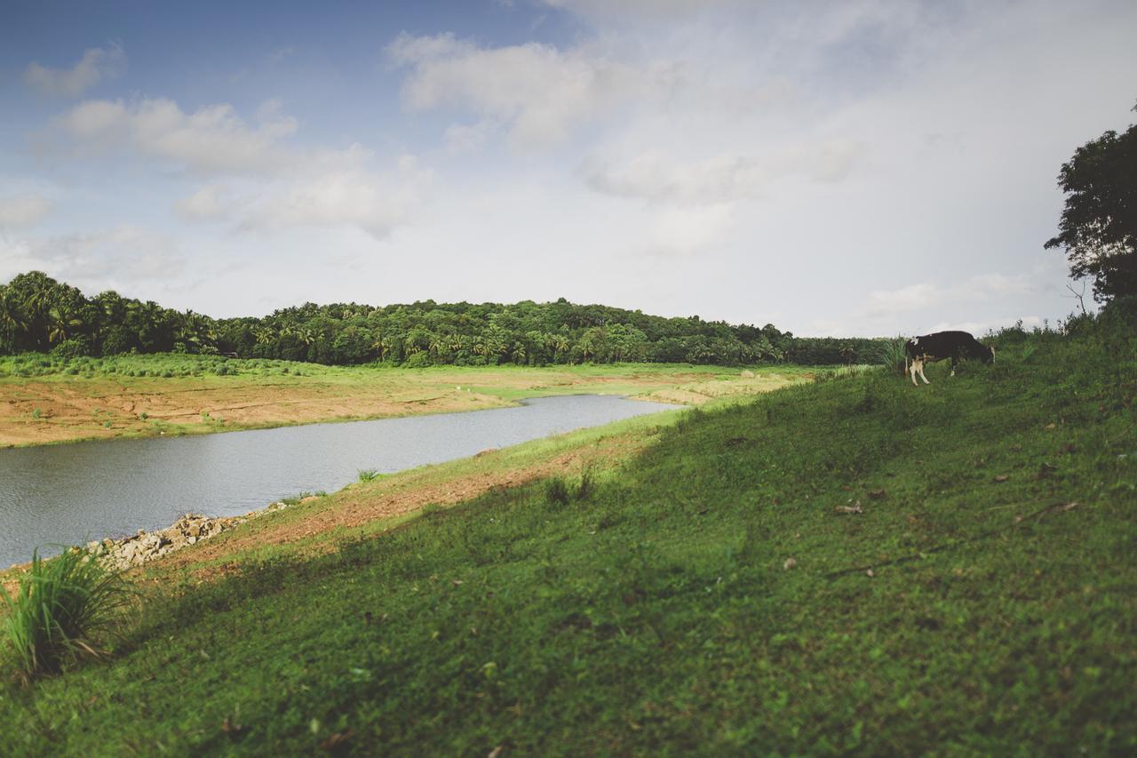 Riverine Springs Wadakkanchery Esterno foto